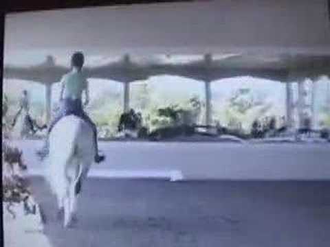 Edward Gal Young Rider Clinic 2007
