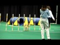 Sumo's Perfect Run.mov View Video