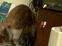 Messy Marvin vs. Water Bottle