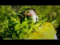 Click here to watch this video MC Nobody Cares- Land Of the Thoughts