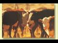 Aussie Outback Tribute :: A small tribute to the Aussie Outback and country. Enjoy
Music -... View Video