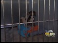 Shelter overcrowded