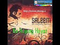 Ke Hujung Hayat - Saleem