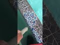 Swimming pool tile cleaning 