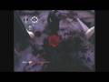 videos de QUALITY .wmv