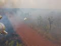 Ecologia do Cerrado