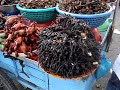 Deep Fried Tarantulas