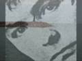 videos de J. VINCENT EDWARDS - Shades of blue and green water flies