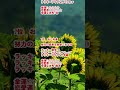 2026年8月28日　12星座別運勢ランキング。眠っていた運が目を覚ます！ 大きな転換点となる一日。
