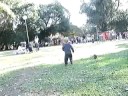 Se joga!