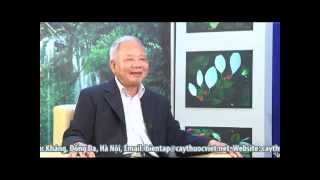 Huyết giác - Vị thuốc quý giúp tan bầm tím, mau lành vết thương