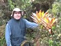 Volcán de doña Juana, nuevo parque natural