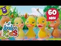 Five Little Ducks - Learn English with Songs for Children | LooLoo Kids Five Little Ducks - Learn English with Songs for Children | LooLoo Kids