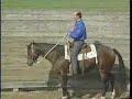 Young Horse Management: Riding a Young Horse Pt 1, eXtension