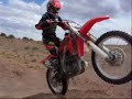 B-dog Promo