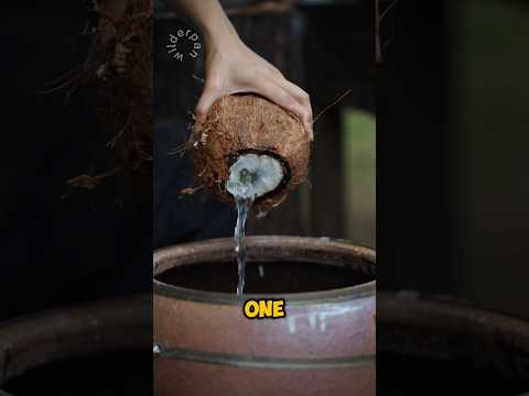 Coconut Turns Into Beauty #shorts
