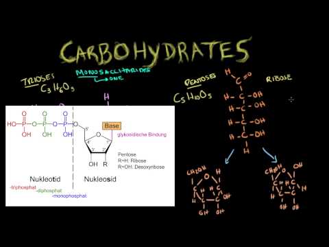 carbohydrates - This is a tutorial/lecture where we discuss Carbohydrates. We cover some topics important for classes such as Biology (High School and College Levels), Histo...