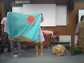 videos de wa boo boo