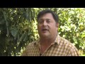 How Does This Family Farmer Use Pesticides? 