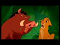 Funny Lion King Slideshow Funny Lion King Slideshow
