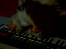 Soja Calcium - Aulnoy Sessions