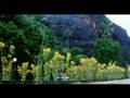  - MovieZen Video