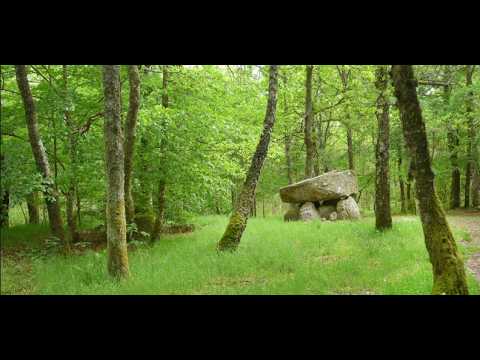 Image de prévisualisation YouTube