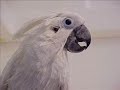 Bath time for Rocky Bath time for Rocky