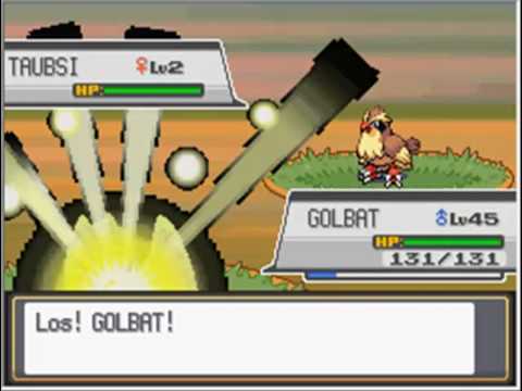 raikou german