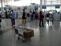 roosters in manila domestic airport