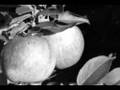PORTISHEAD: UNDENIED