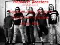 videos de Hedonist Roosters 