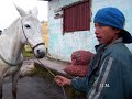MIRADAS: PARQUE LOS NEVADOS