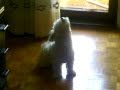 Funny- Crying and sneezing puppy!