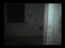 the blair witch project the blair witch project