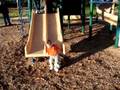 Little Slide