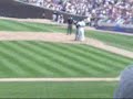 Cubs game (Fast Motion)
