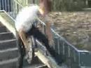 Nick Eats Sht!