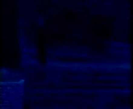moonlight shadows