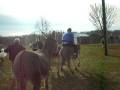 videos de Dung Dodgin Donkey Boy