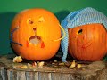 CB9 Media Hub - pumpkin animation - chloe/hayley