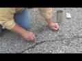 Blacktop Driveway Crack Repair