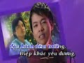 Việt Karaoke Xin Em Đừng Khóc Vu Quy