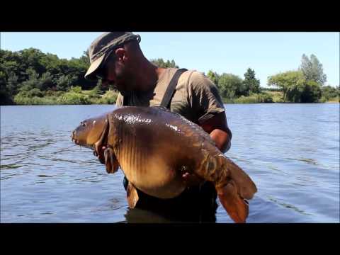 XL Carp Video
