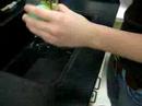 Popping of Protozoa :( Popping of Protozoa :(