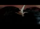 The Flaming Lips - Okay I\