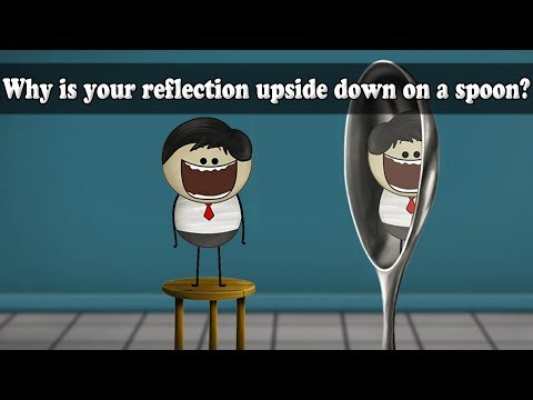 Concave Mirror - Why is your reflection upside down on a spoon? | #aumsum #kids #science - YouTube