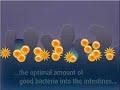 Probiotics in Action - Culturelle Probiotics in Action - Culturelle