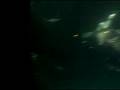 videos de Aug 24 2009 - VID00013
