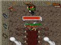 Tibia Fake: H�lad